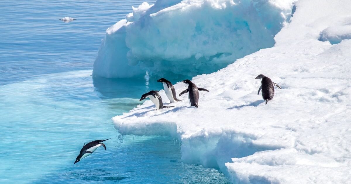 Antártica O continente gelado do planeta, vasto e misterioso