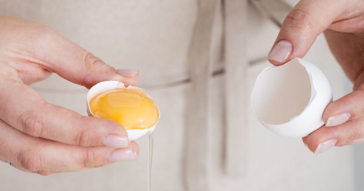 Gema de ovo O segredo para uma memória afiada