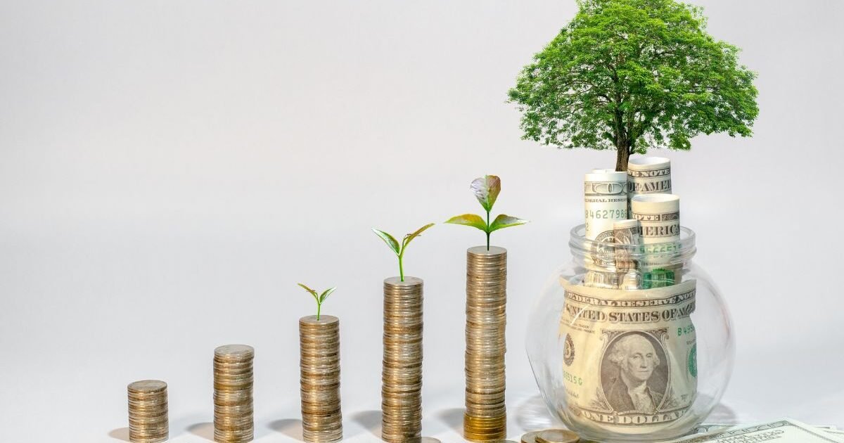 educacao-financeira-e-sua-importancia