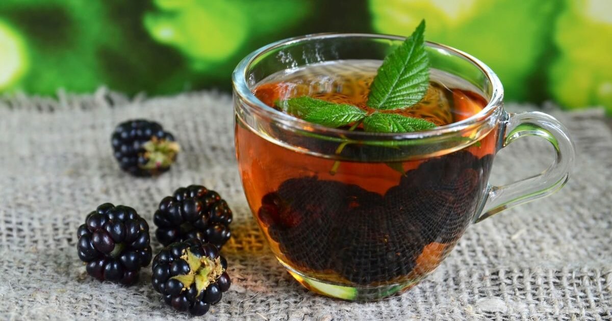 os-beneficios-do-cha-da-folha-de-amora