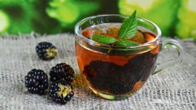 O Chá da Amora: Quais Benefícios Você Pode Aproveitar