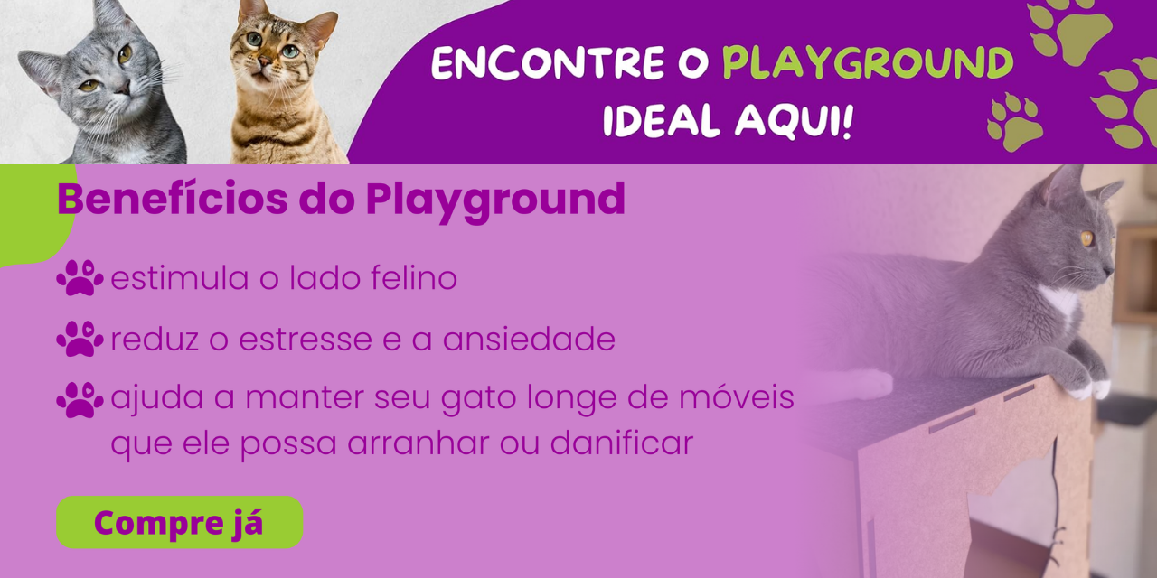 Playground para gatos