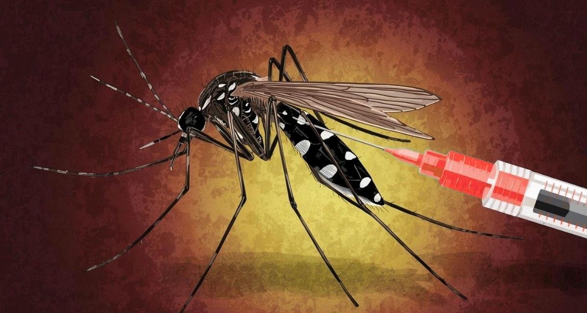 Bilhões de Mosquitos Infectados podem acabar com a Dengue