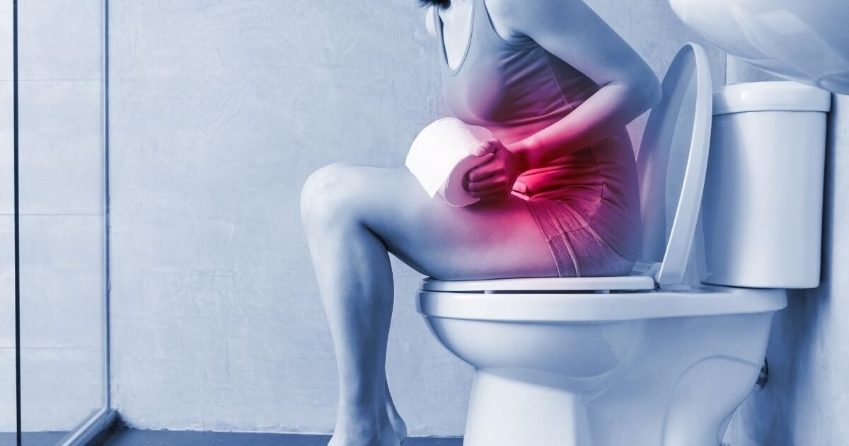 Conheça os Alimentos que Melhoram o Intestino Preso