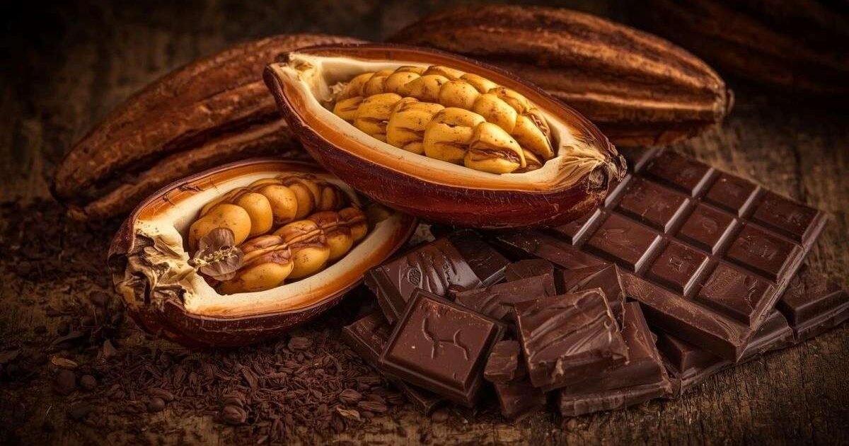 Qual País que mais Produz Cacau para Chocolate no Mundo