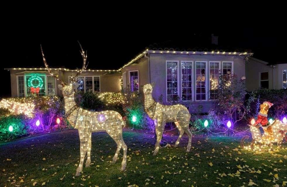 A Volta do Natural e a Sustentabilidade do natal